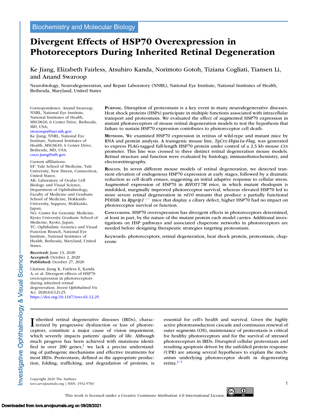 Divergent Effects of HSP70 Overexpression in Photoreceptors During Inherited Retinal Degeneration