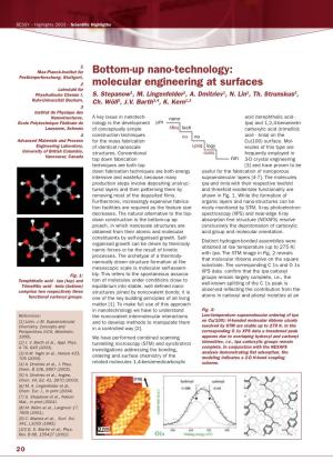 Bottom-Up Nano-Technology: Molecular Engineering at Surfaces