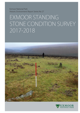 Standing Stones Report