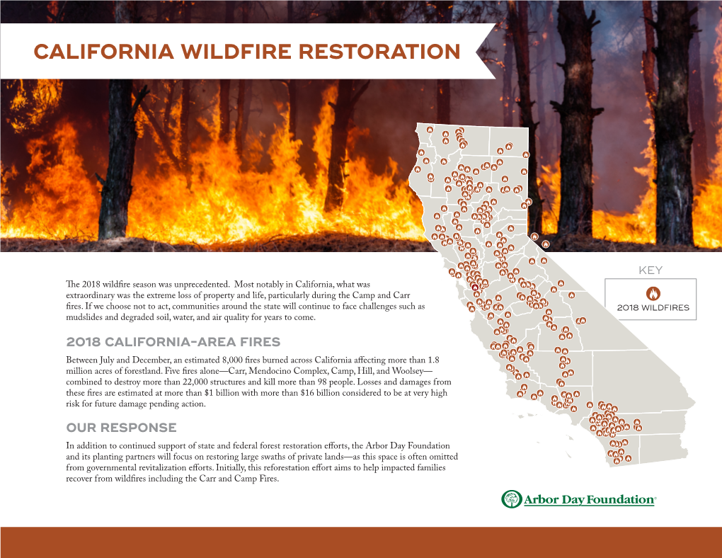 California Wildfire Restoration