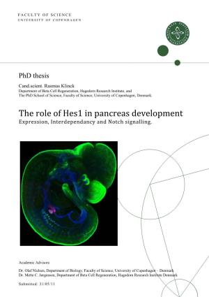 The Role of Hes1 in Pancreas Development Expression, Interdependancy and Notch Signalling