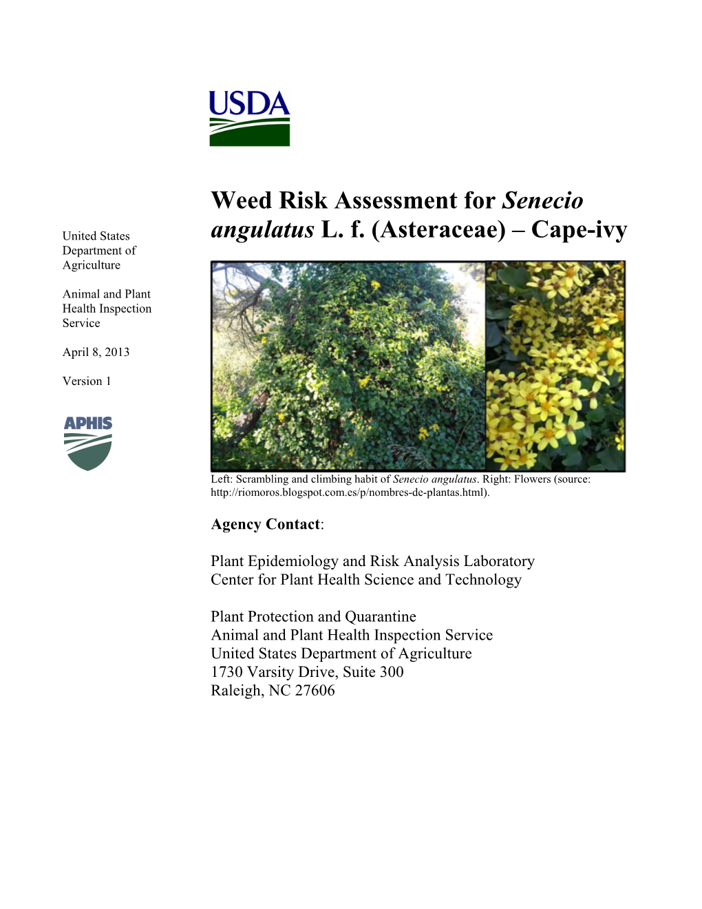 Weed Risk Assessment for Senecio Angulatus L. F. (Asteraceae)