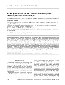 Sound Production in Four Damselfish (Dascyllus) Species