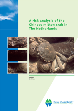 A Risk Analysis of the Chinese Mitten Crab in the Netherlands