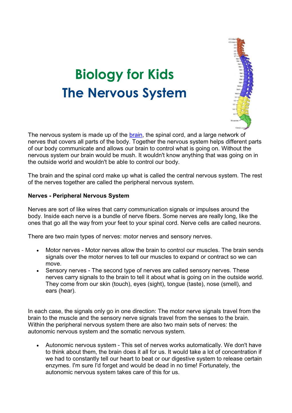 Biology for Kids the Nervous System