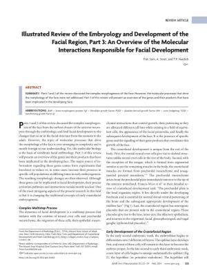 Illustrated Review of the Embryology and Development of the Facial Region, Part 3: an Overview of the Molecular Interactions Responsible for Facial Development