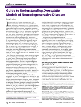 Guide to Understanding Drosophila Models of Neurodegenerative Diseases