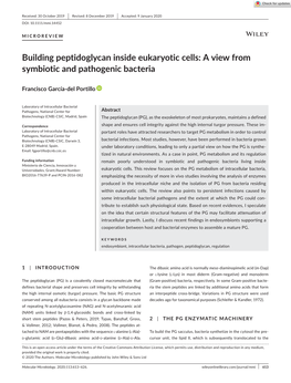 Building Peptidoglycan Inside Eukaryotic Cells: a View from Symbiotic and Pathogenic Bacteria