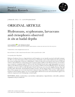 Hydrozoans, Scyphozoans, Larvaceans and Ctenophores Observed in Situ at Hadal Depths