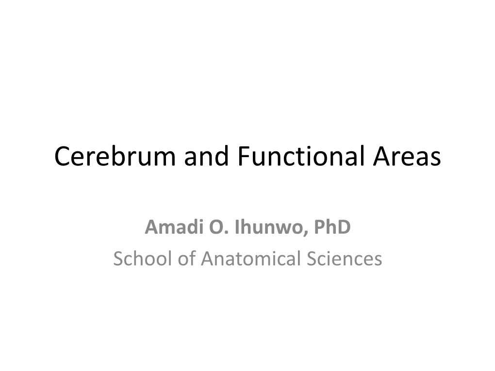 Cerebrum and Functional Areas of Brain