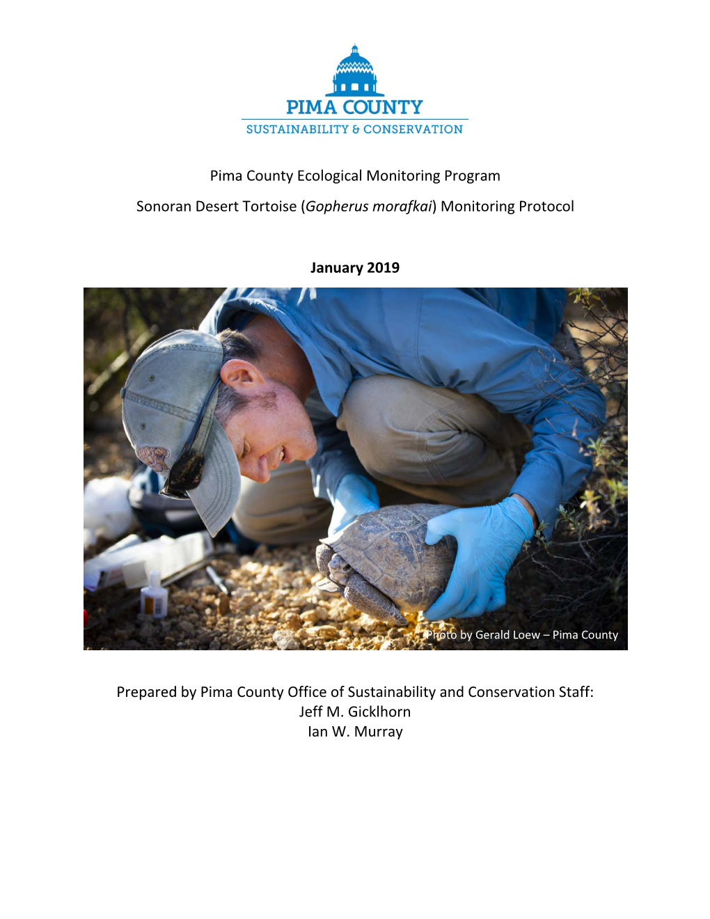 Pima County Ecological Monitoring Program Sonoran Desert Tortoise (Gopherus Morafkai) Monitoring Protocol January 2019 Prepared