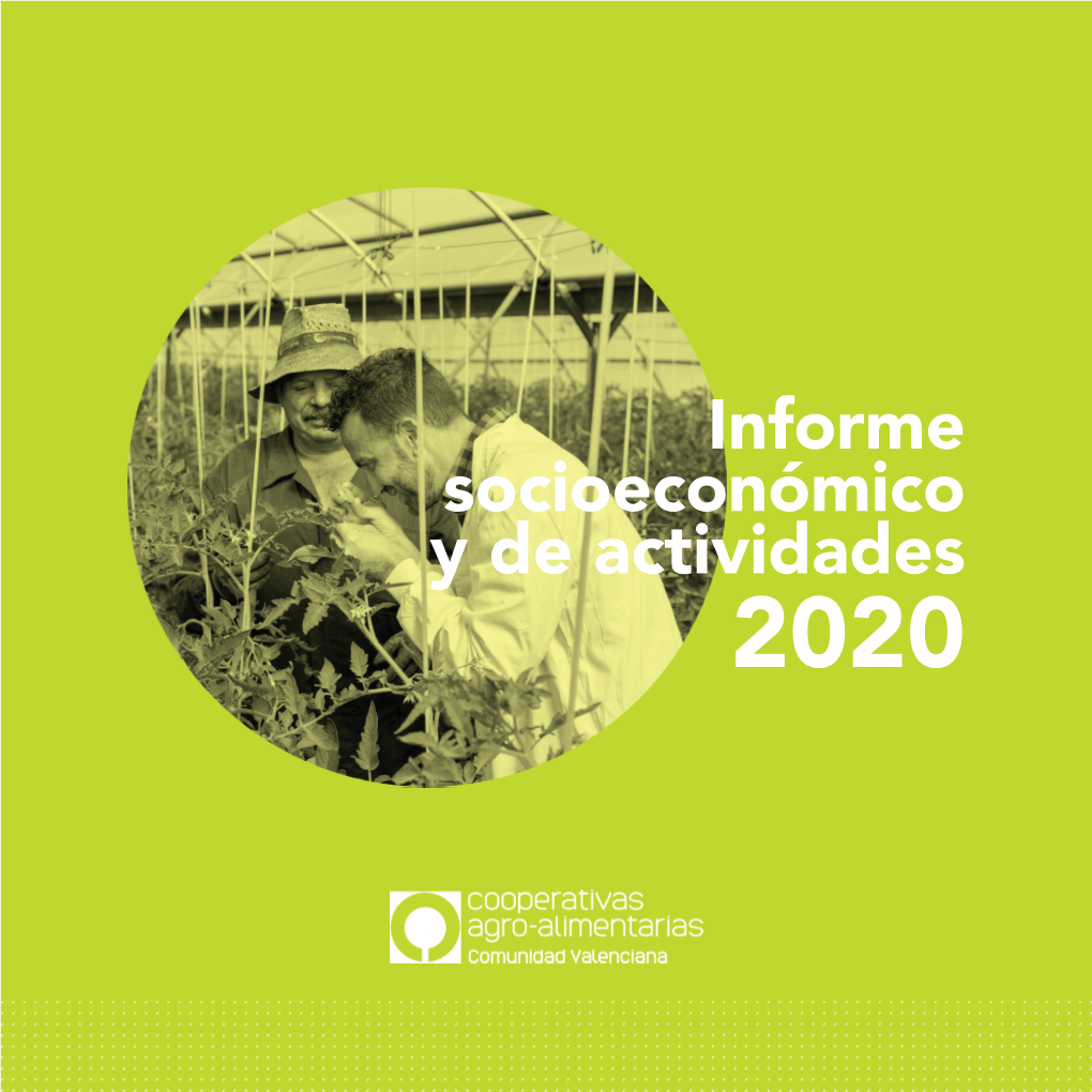 Informe Socioeconómico Y De Actividades 2020 6