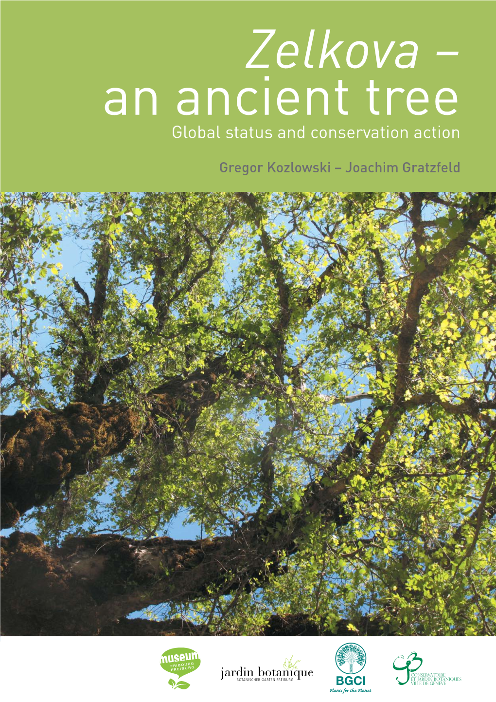 Zelkova – an Ancient Tree Global Status and Conservation Action