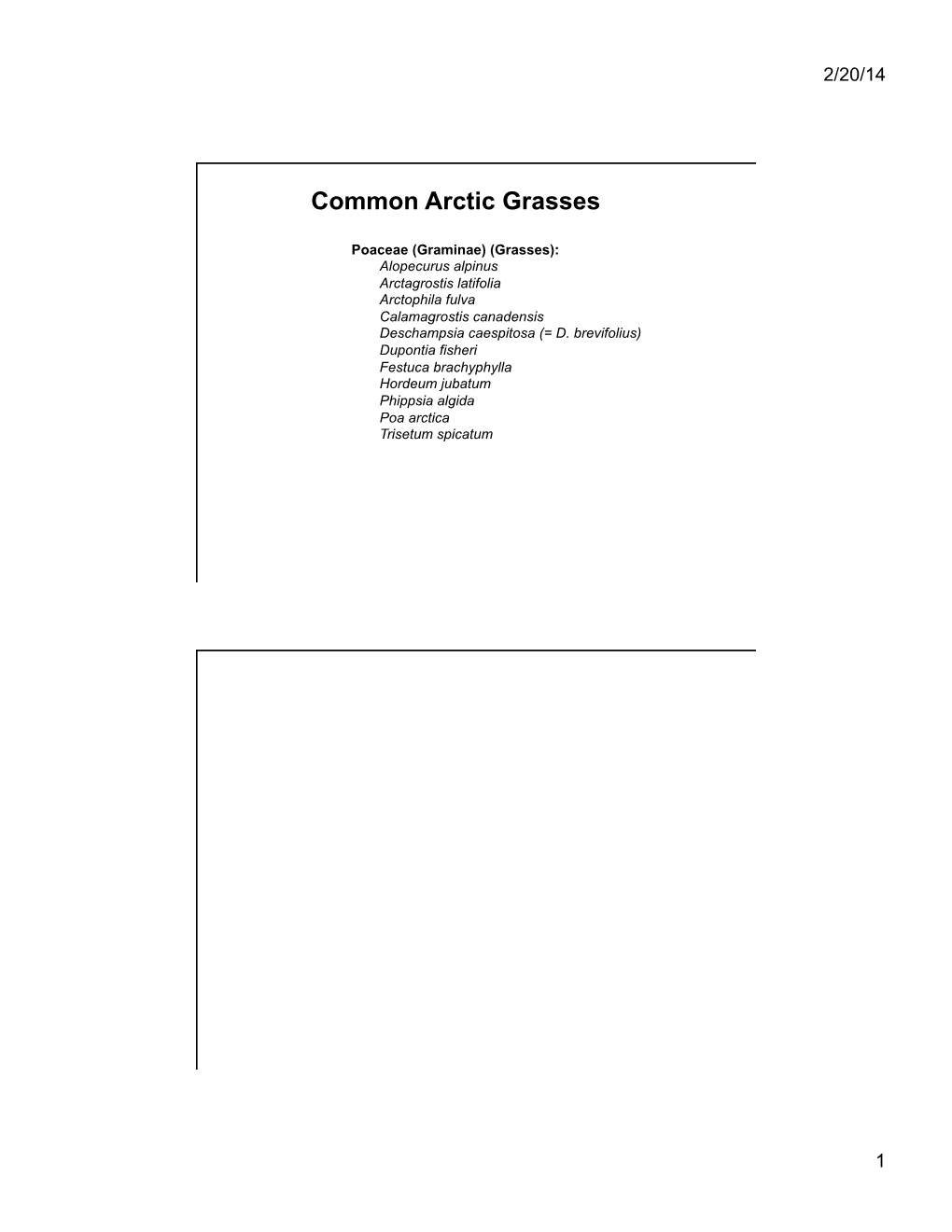Common Arctic Grasses