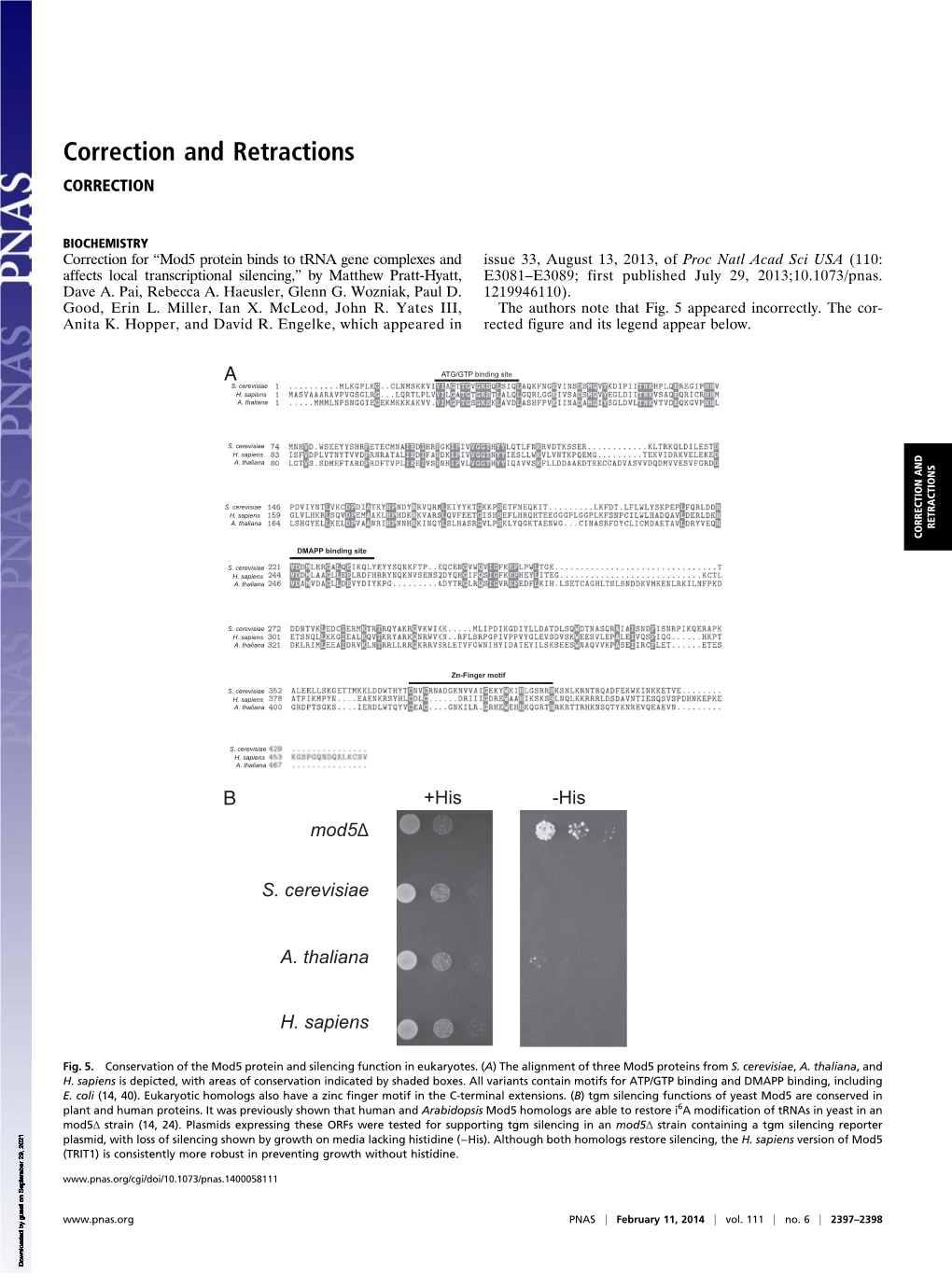 Mod5 Protein Binds to Trna Gene Complexes and Affects Local