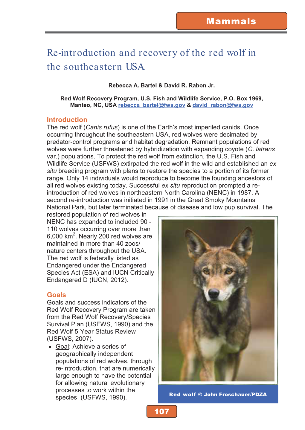 Re-Introduction and Recovery of the Red Wolf in the Southeastern USA