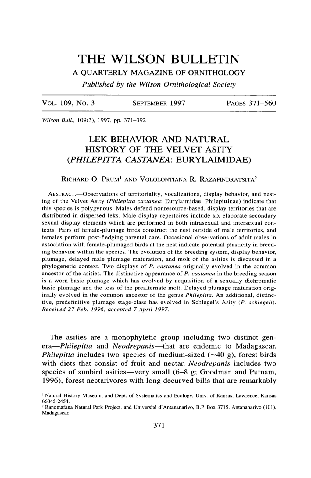 LEK BEHAVIOR and NATURAL HISTORY of the VELVET ASITY (Philepina CASTANEA: EURYLAIMIDAE)