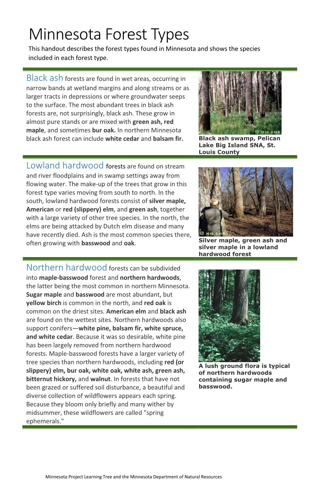 Minnesota Forest Types This Handout Describes the Forest Types Found in Minnesota and Shows the Species Included in Each Forest Type