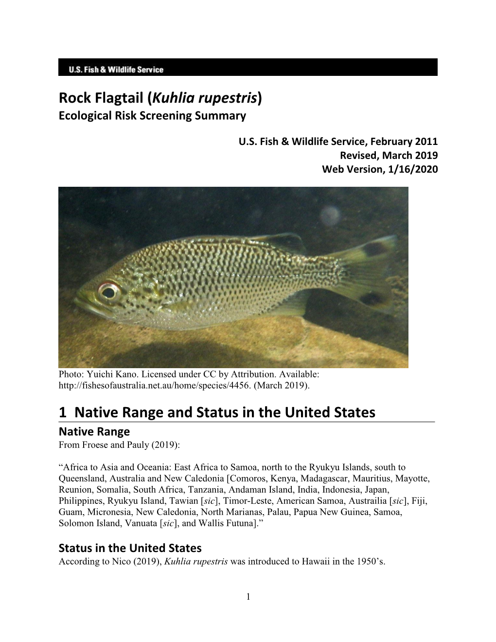 Rock Flagtail (Kuhlia Rupestris) Ecological Risk Screening Summary