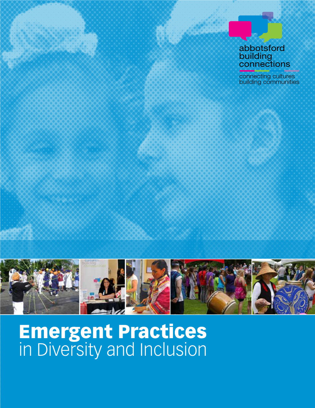 Emergent Practices in Diversity and Inclusion Final Report