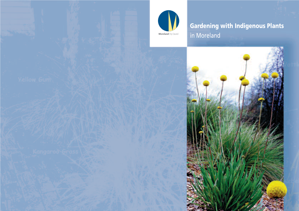 Gardening with Indigenous Plants in Moreland