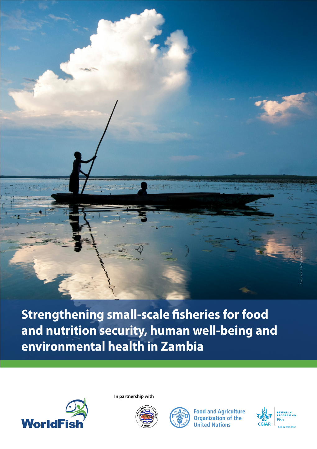 Strengthening Small-Scale Fisheries for Food and Nutrition Security, Human Well-Being and Environmental Health in Zambia