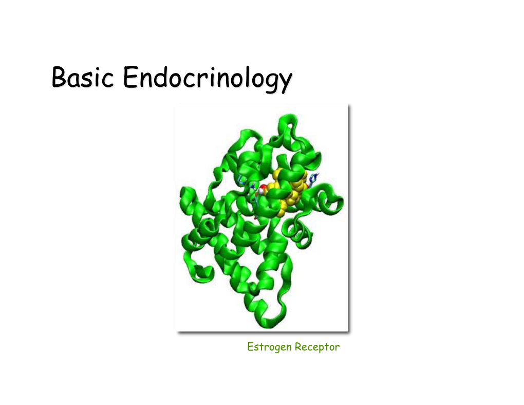 6. Endocrinology 2010.Pdf