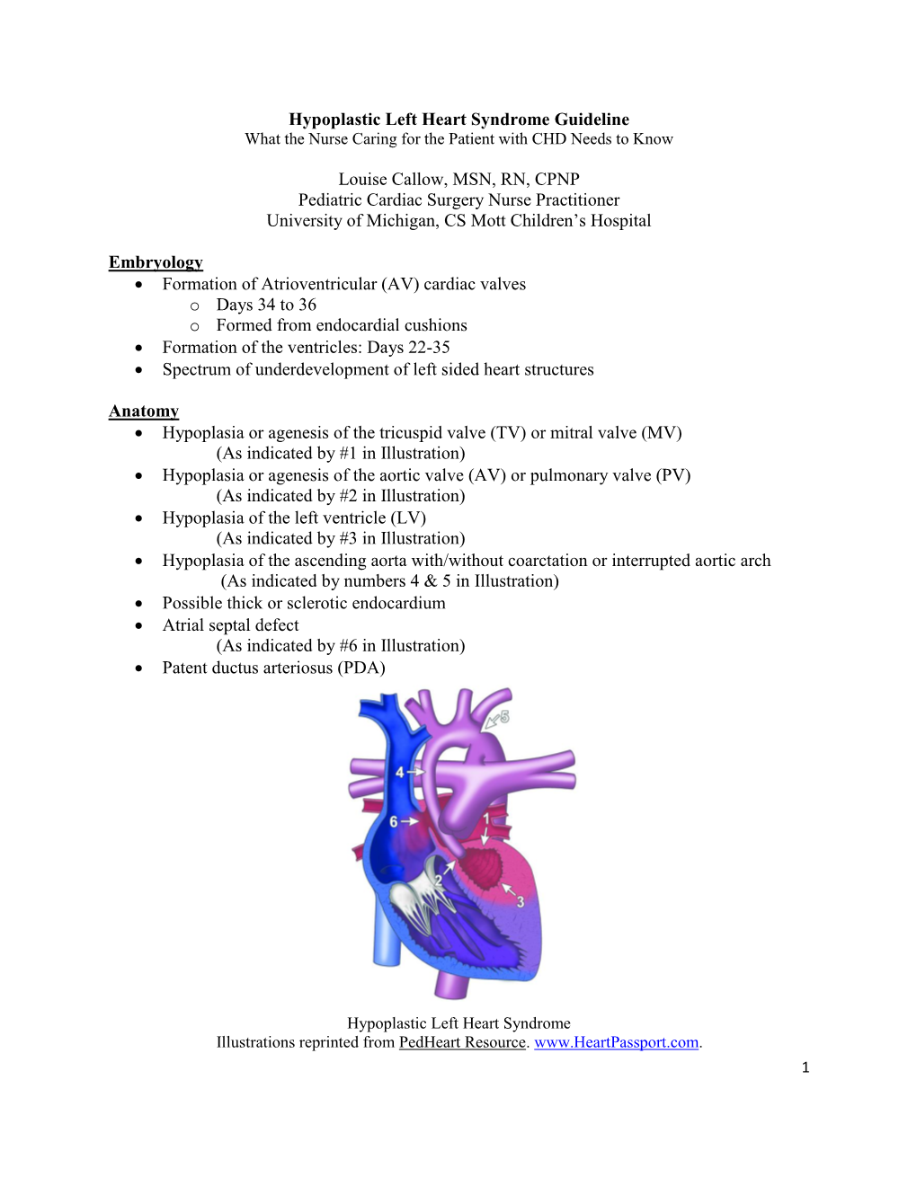 Hypoplastic Left Heart Syndrome Guideline What the Nurse Caring for the Patient with CHD Needs to Know