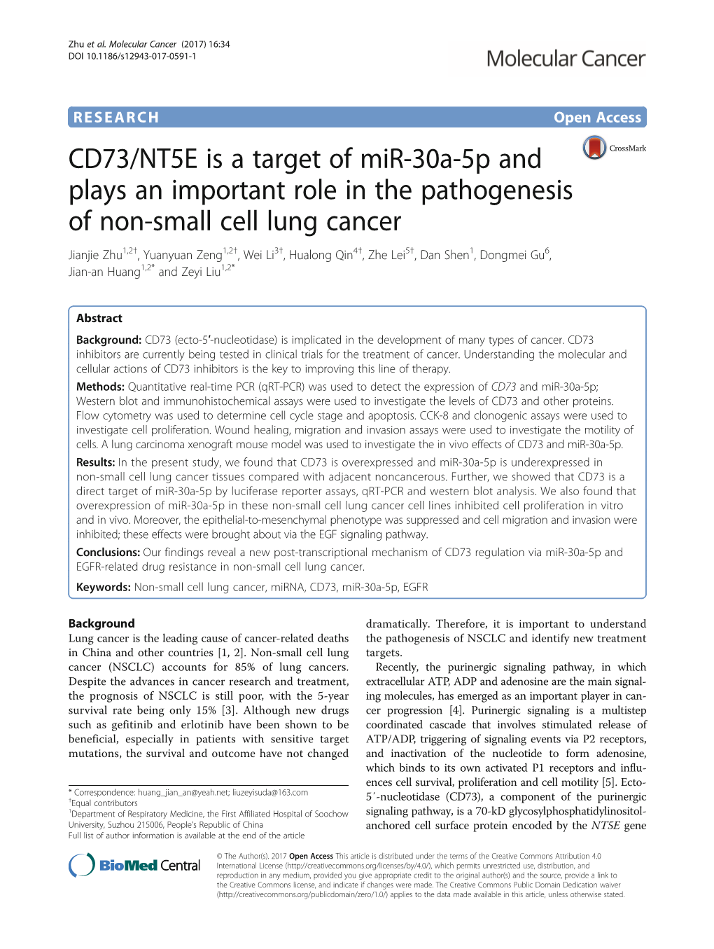 CD73/NT5E Is a Target of Mir-30A-5P and Plays an Important Role in The