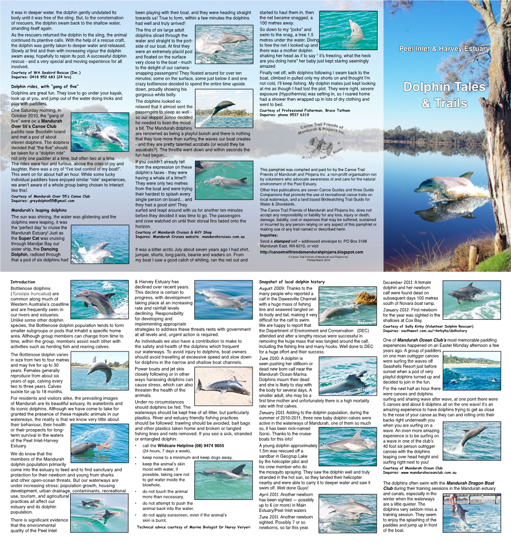 Dolphin Tales & Trails