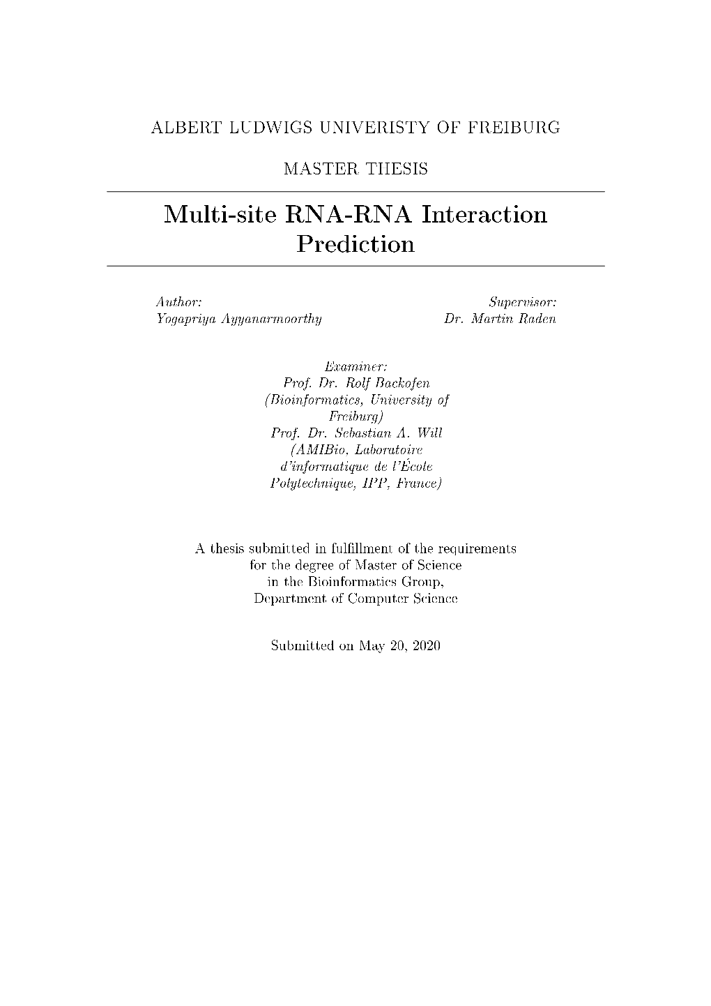 Multi-Site RNA-RNA Interaction Prediction