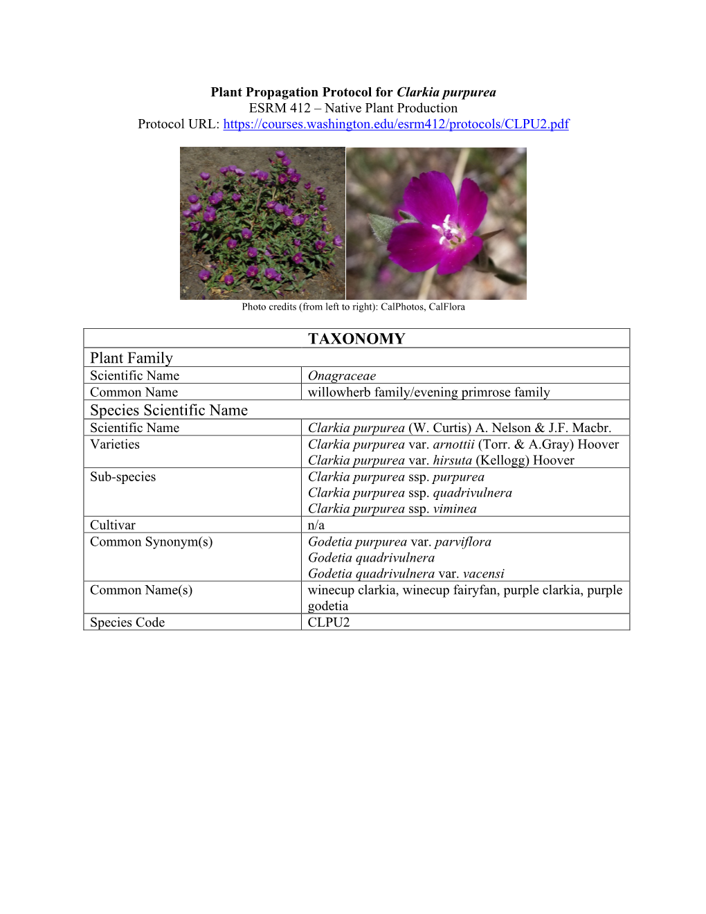 Draft Plant Propagation Protocol