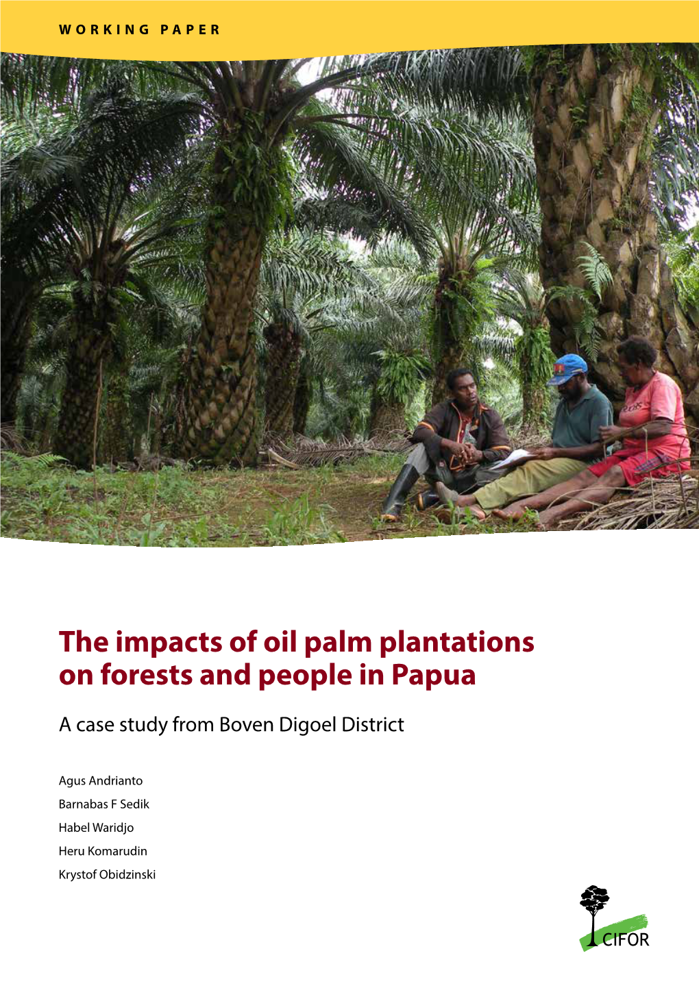 The Impacts of Oil Palm Plantations on Forests and People in Papua