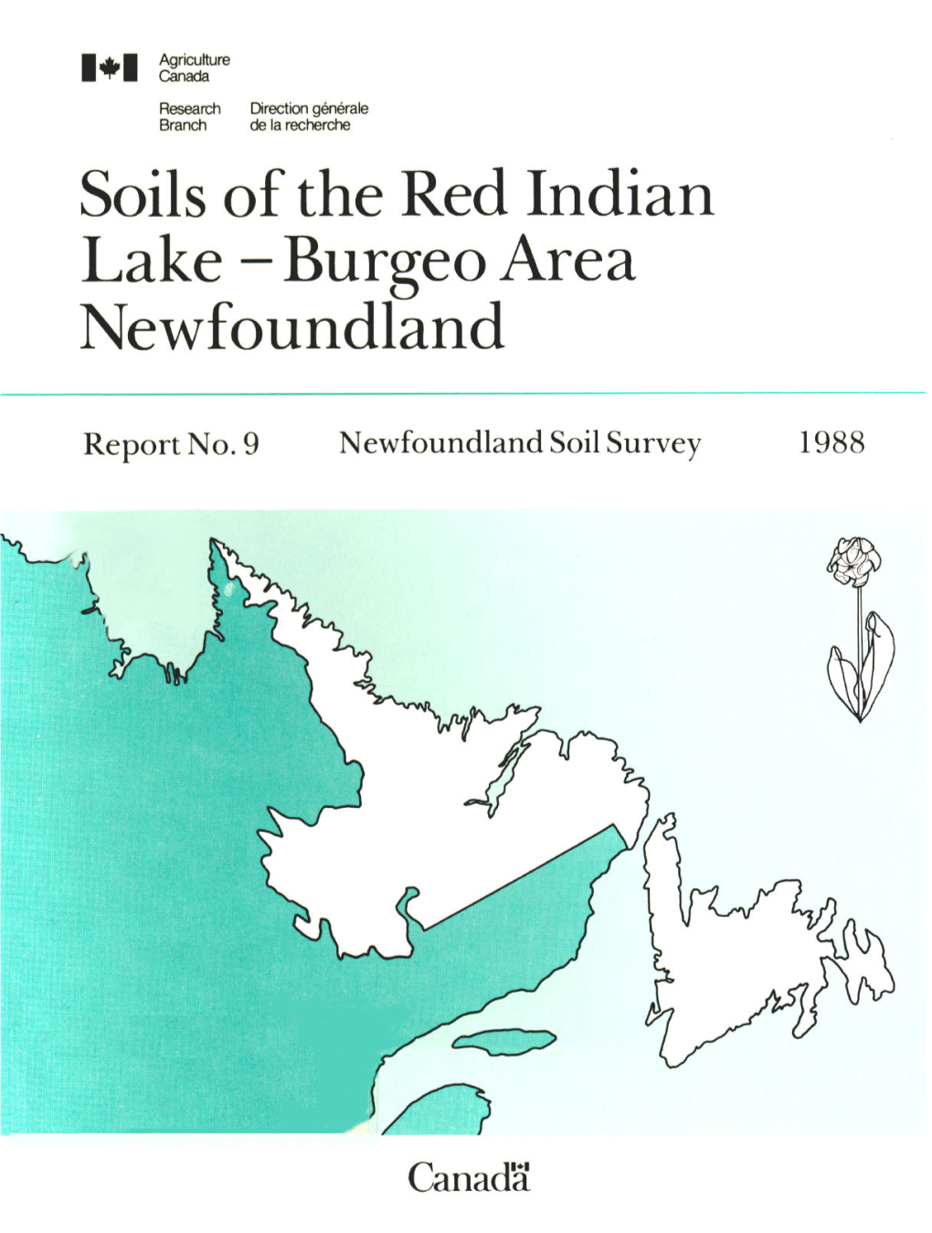 Soils of the Red Indian Lake - Burgeo Area Newfoundland