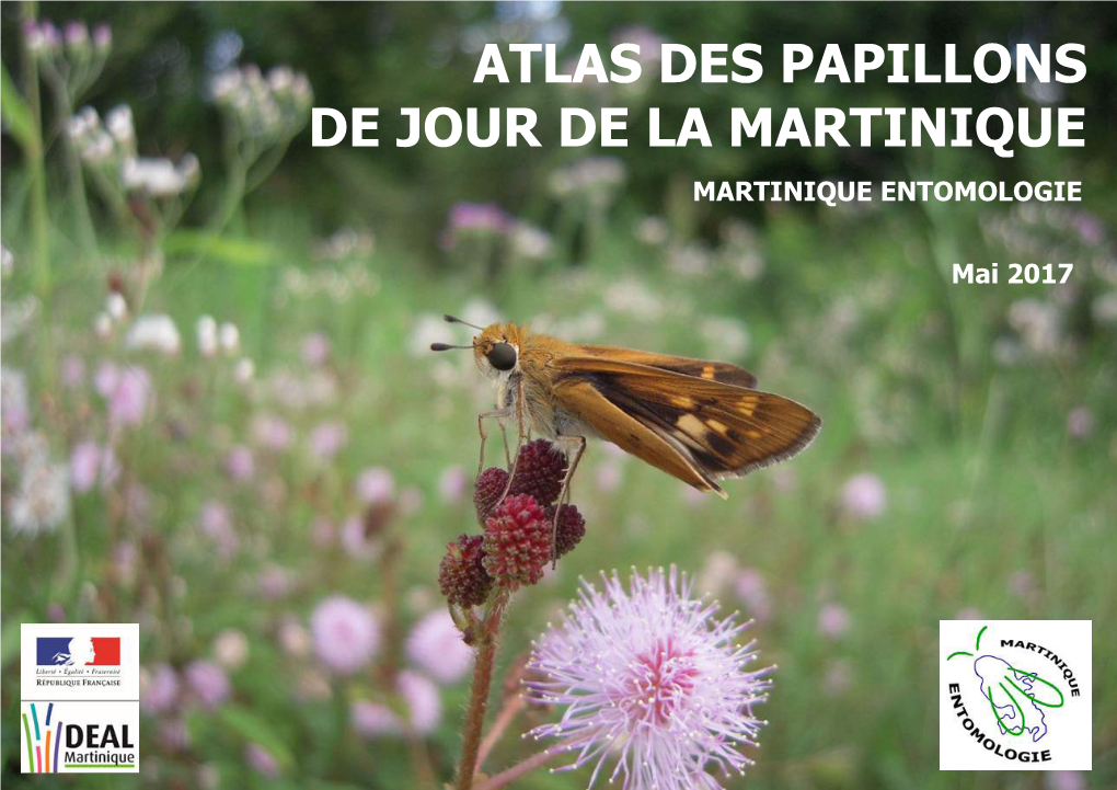 Atlas Des Papillons De Jour De La Martinique - Martinique Entomologie 2017