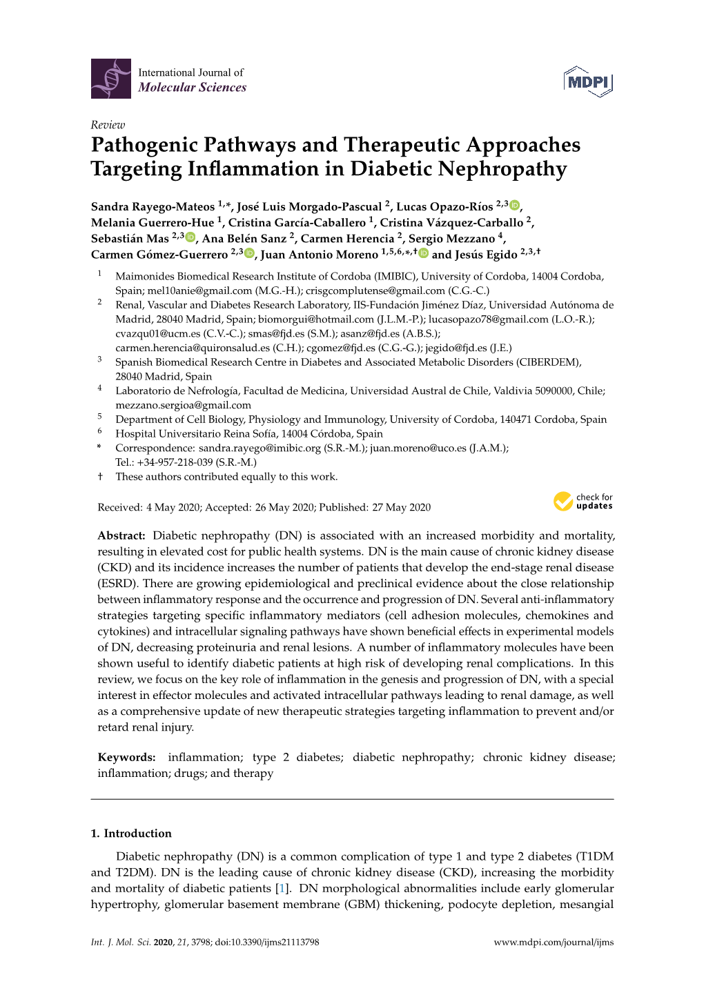 Pathogenic Pathways and Therapeutic Approaches Targeting Inﬂammation in Diabetic Nephropathy