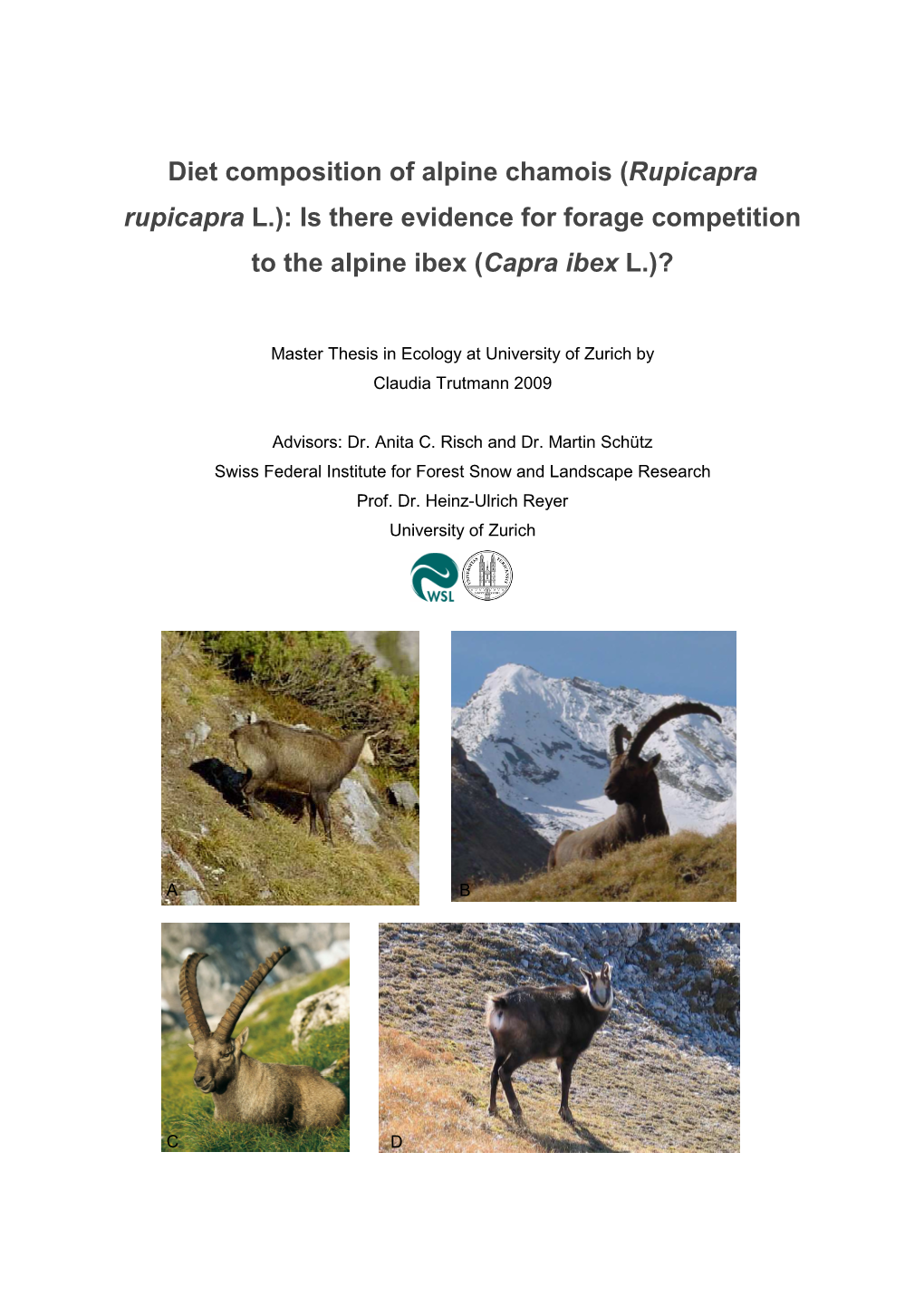 Is There Evidence for Forage Competition to the Alpine Ibex (Capra Ibex L.)?