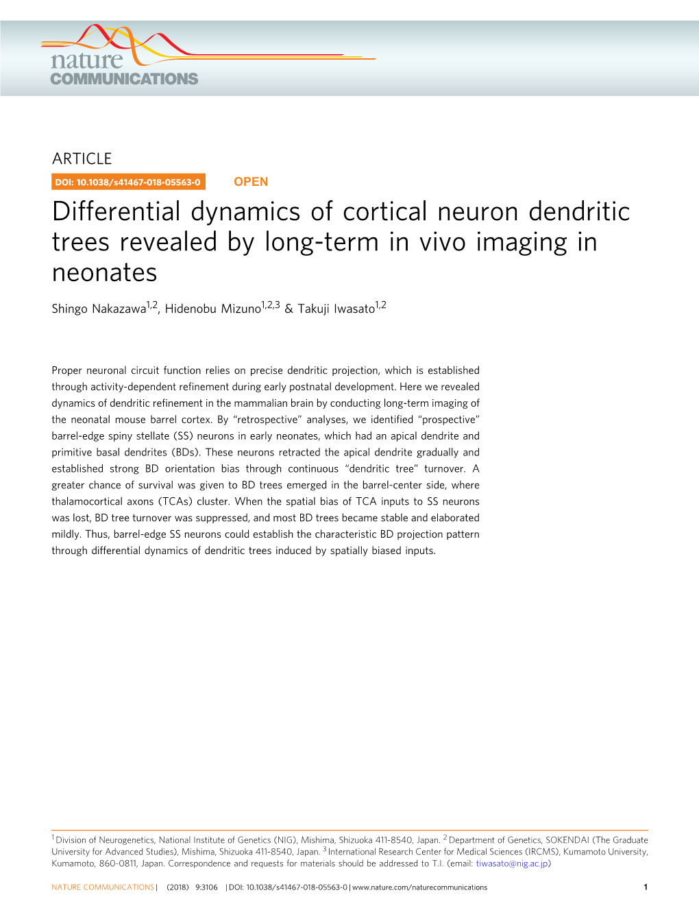 Differential Dynamics of Cortical Neuron Dendritic Trees Revealed by Long-Term in Vivo Imaging in Neonates