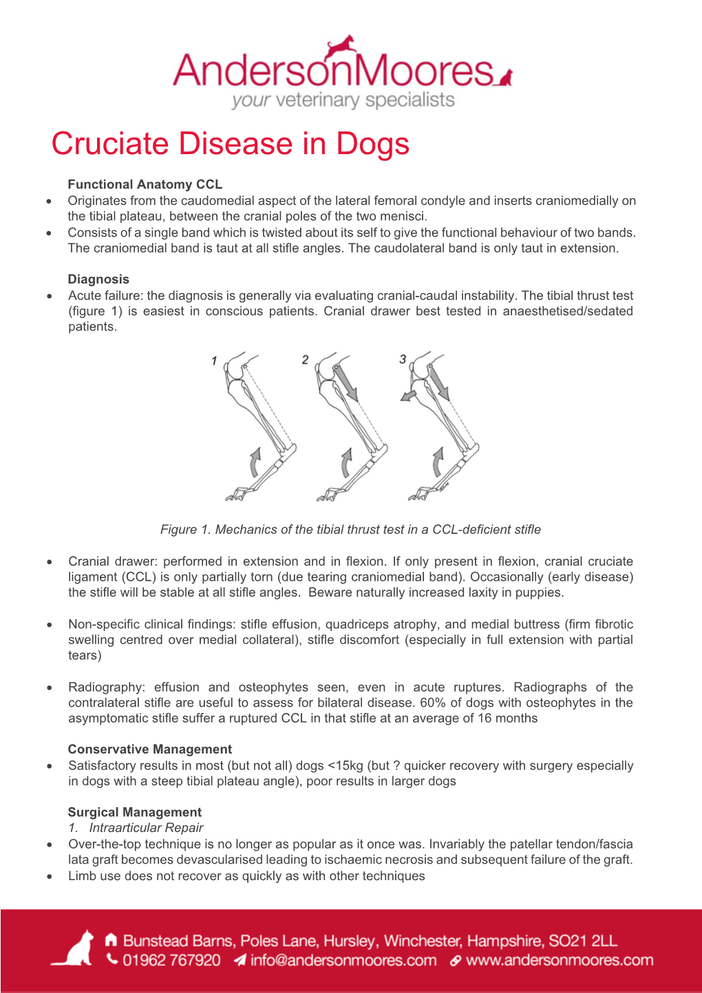 Cruciate Disease in Dogs