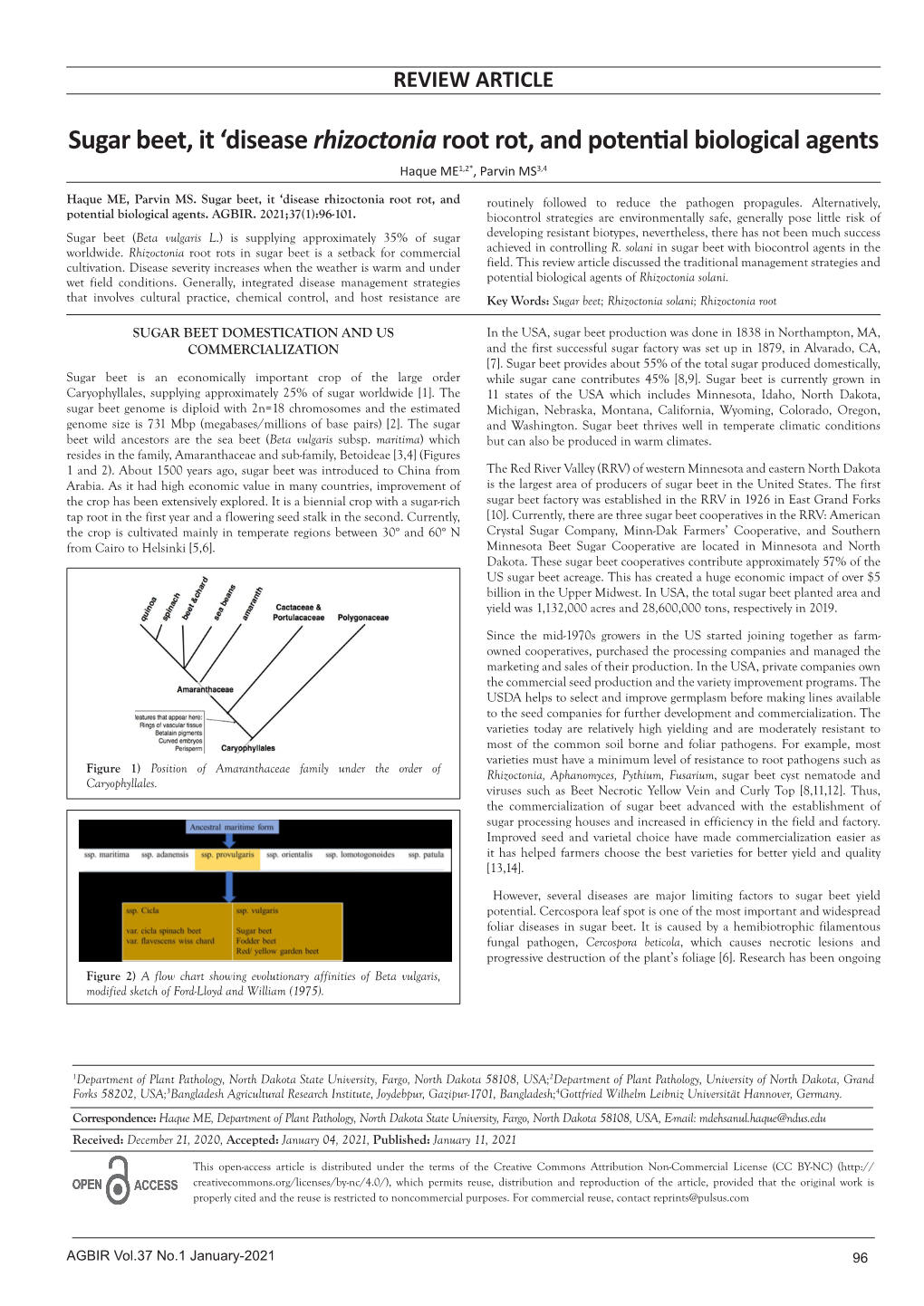 Sugar Beet, It 'Disease Rhizoctonia Root Rot, and Potential Biological Agents