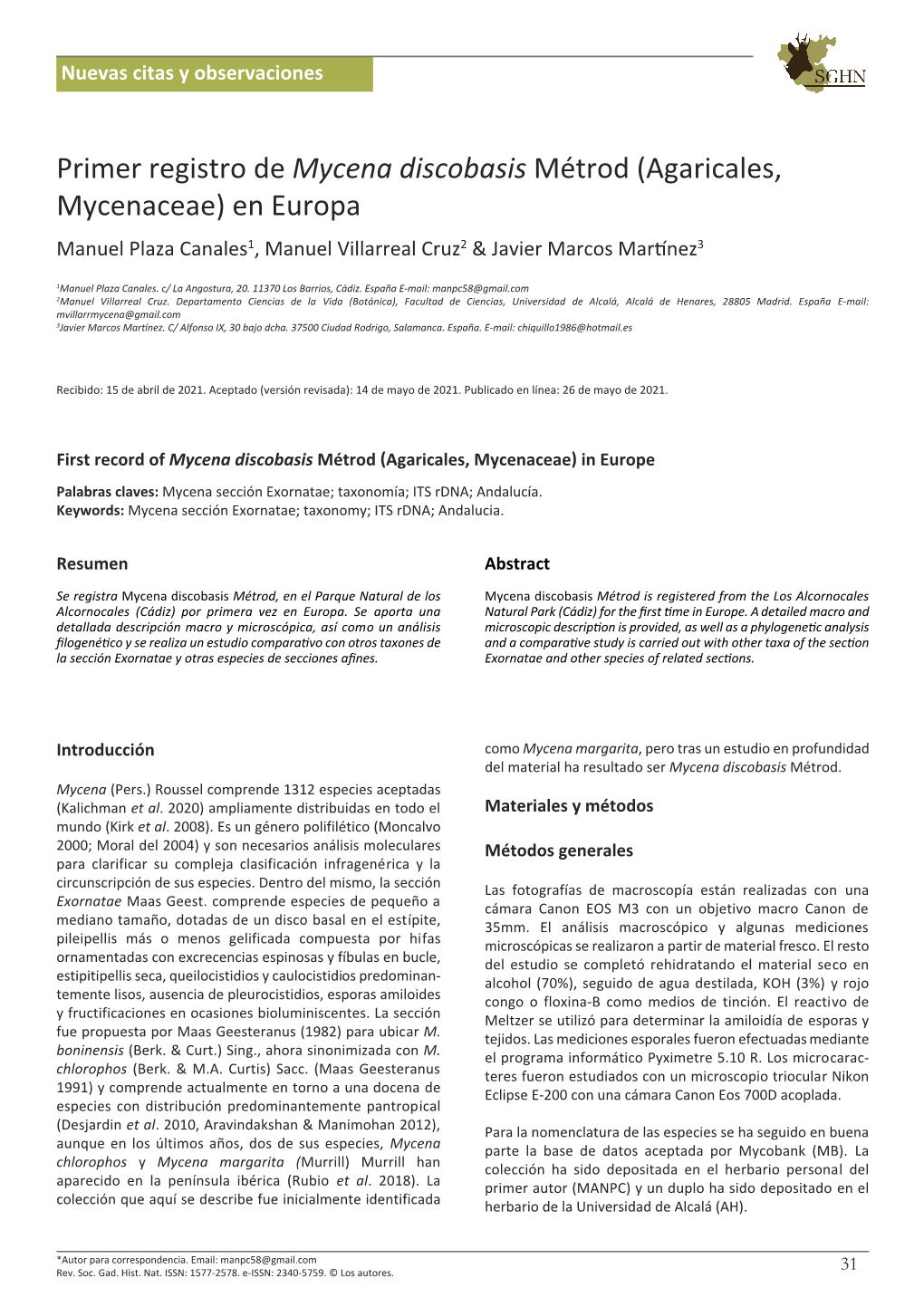 Mycena Discobasis RSGHN