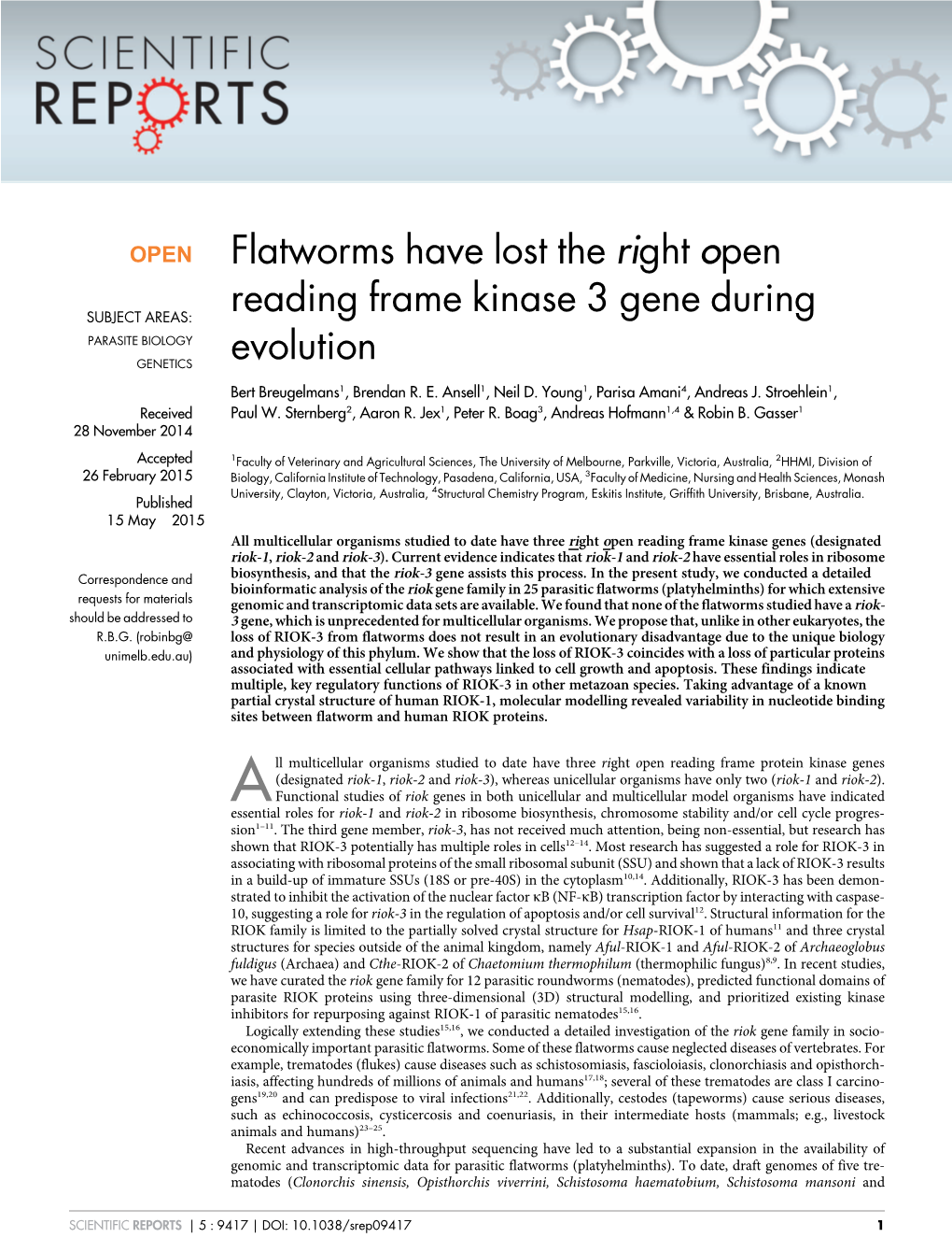 Flatworms Have Lost the Right Open Reading Frame