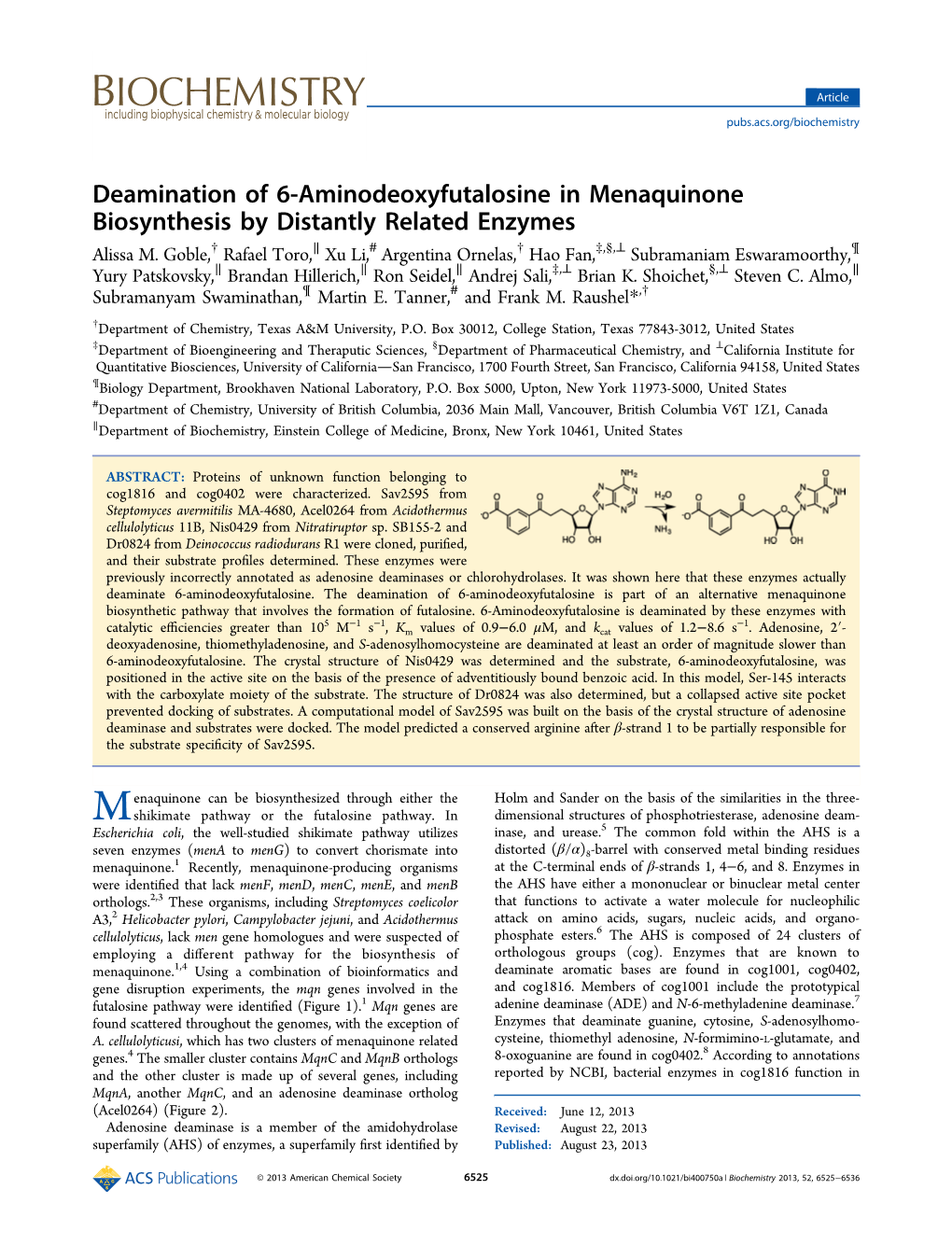 Deamination of 6‑Aminodeoxyfutalosine in Menaquinone Biosynthesis by Distantly Related Enzymes † ∥ # † ‡ § ⊥ ¶ Alissa M