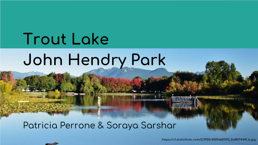 John Hendry Park Trout Lake