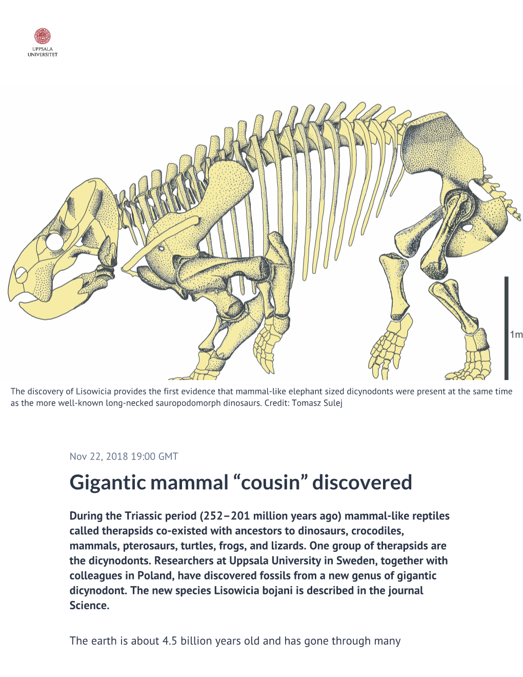 Gigantic Mammal “Cousin” Discovered