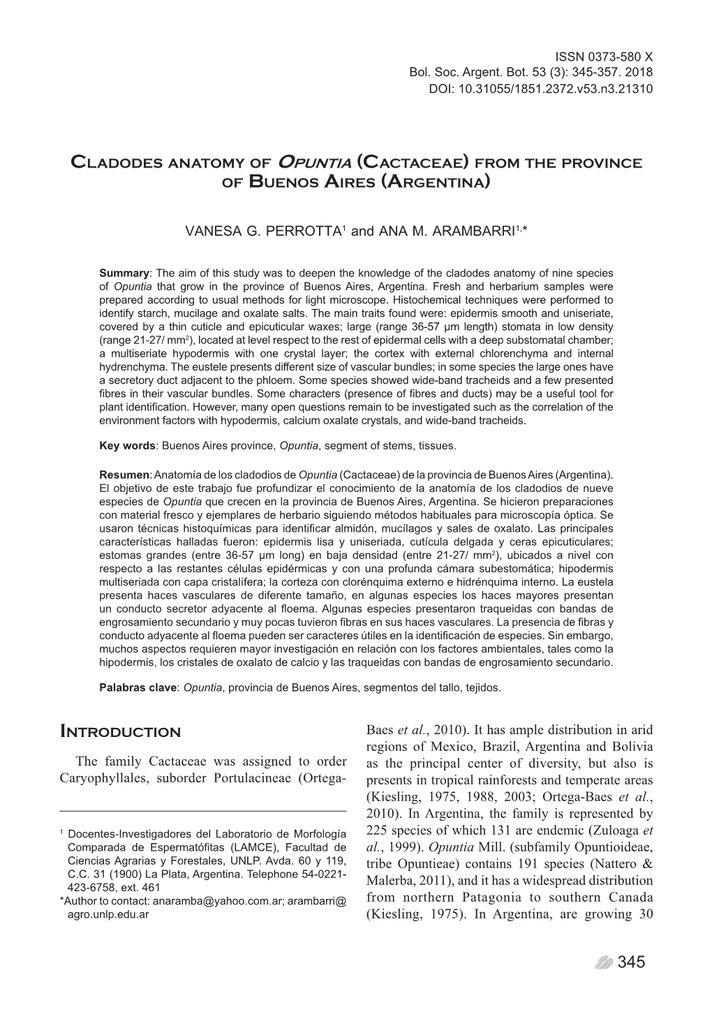 V. G. Perrotta and A. M. Arambarri - Cladodes Anatomyissn of 0373-5 Opuntia80 X Bol