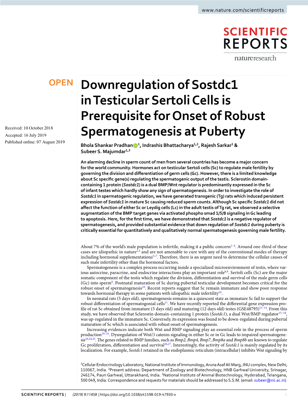 Downregulation of Sostdc1 in Testicular Sertoli Cells Is