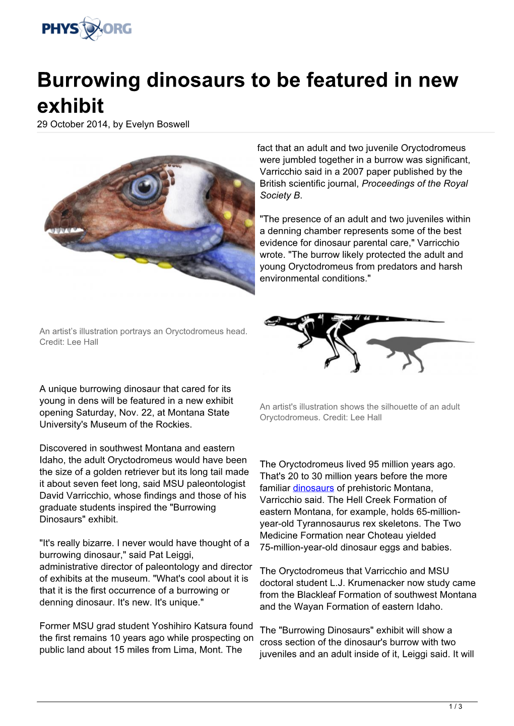 Burrowing Dinosaurs to Be Featured in New Exhibit 29 October 2014, by Evelyn Boswell