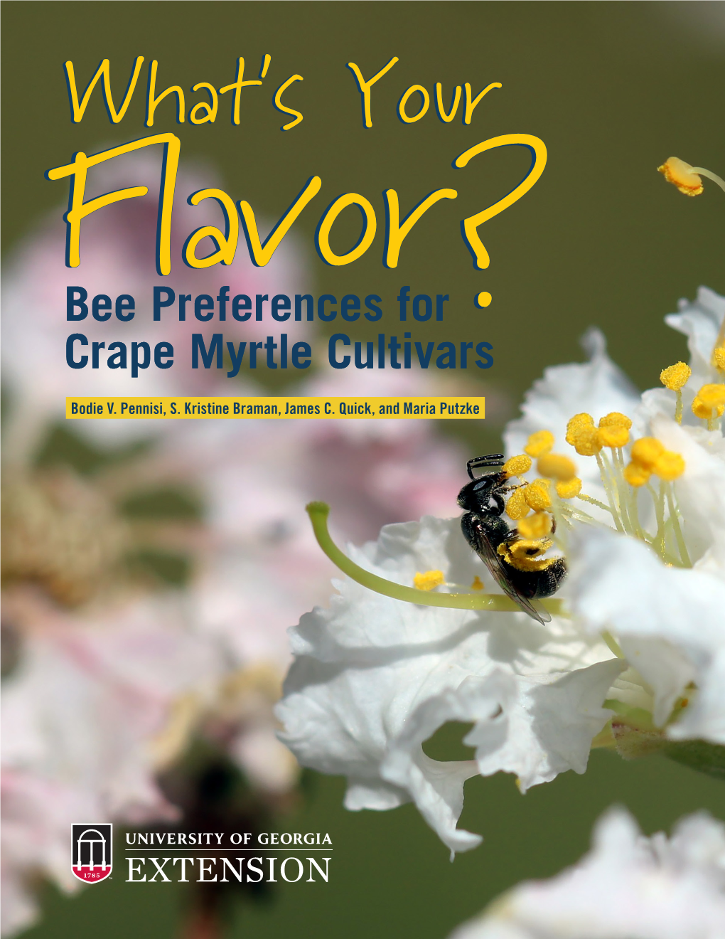 Bee Preferences for Crape Myrtle Cultivars?? Bodie V