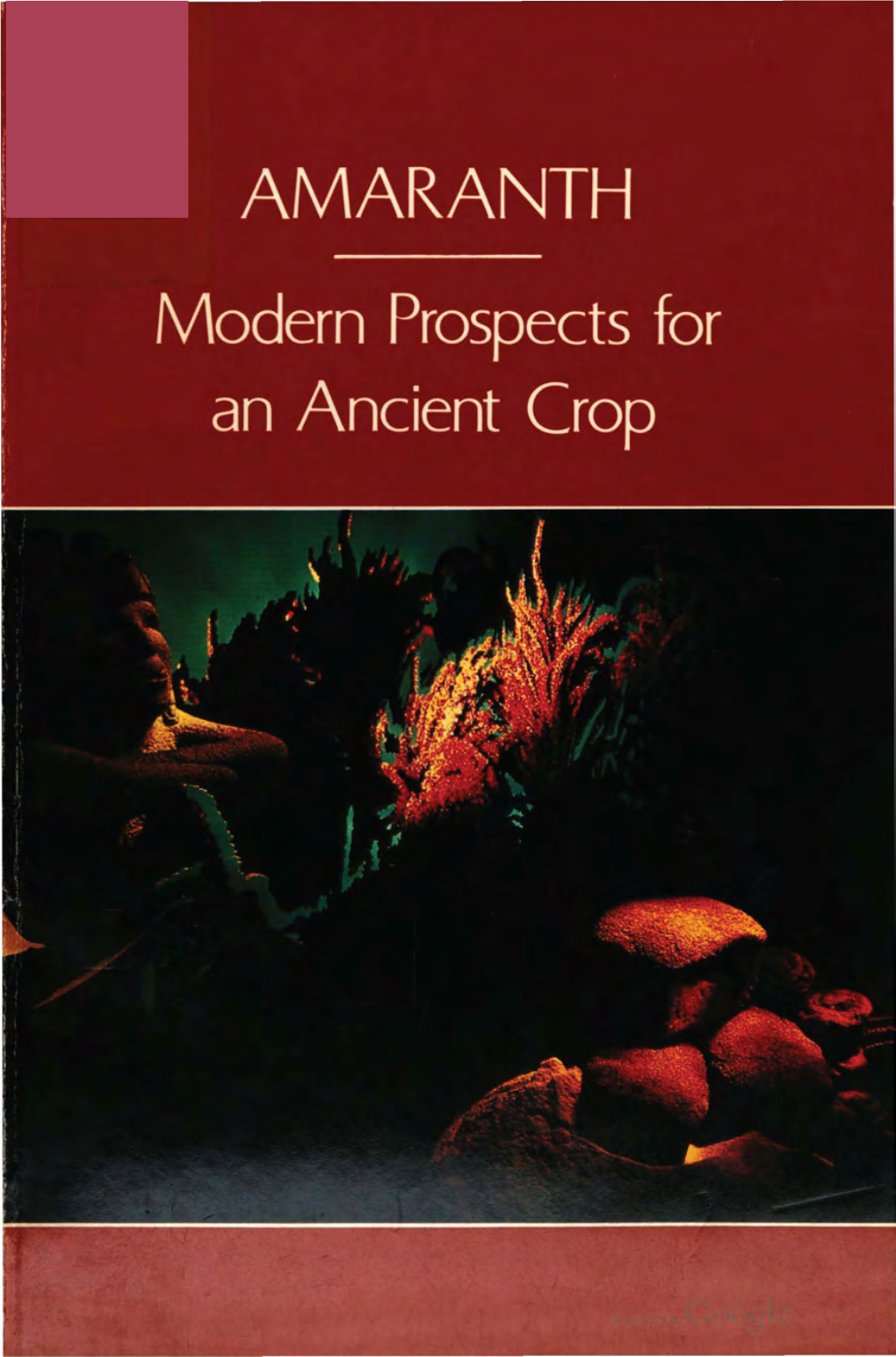 Amaranth: Modern Prospects for an Ancient Crop